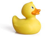 Rubber Duck